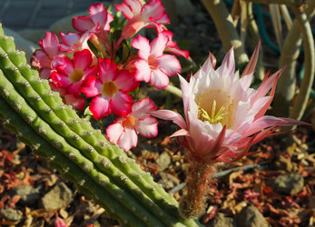 Similar image 312221