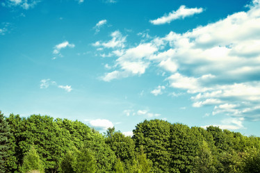 Similar image 312281