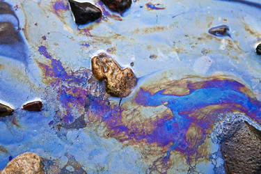 Similar image 312282