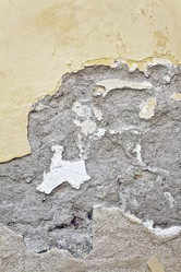 Similar image 312284