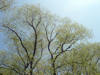 Similar image 312323