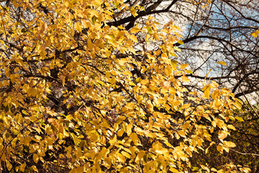 Similar image 312442