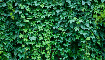 Similar image 312499