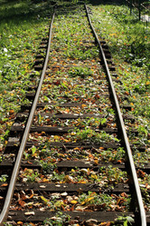 Similar image 312508