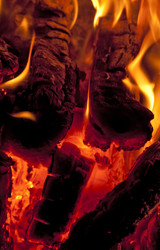 Similar image 312510