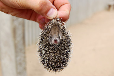 Similar image 312519