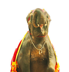 Similar image 312521