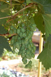 Similar image 312526