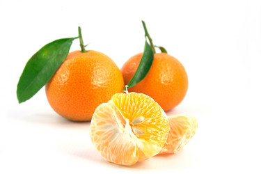 Similar image 312549