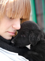 Similar image 312576