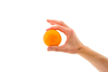 Similar image 312602