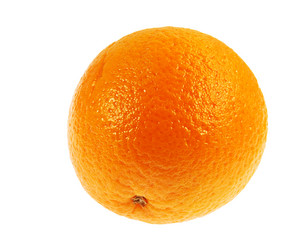 Similar image 312616