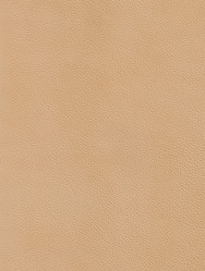 Similar image 312659