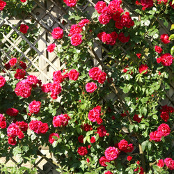 Similar image 312664