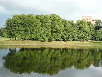 Similar image 312669