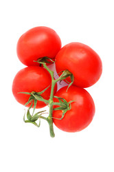 Similar image 312682