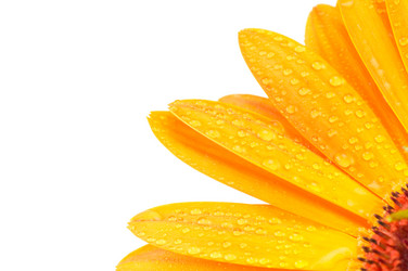 Similar image 312698