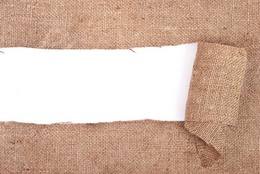 Similar image 312705