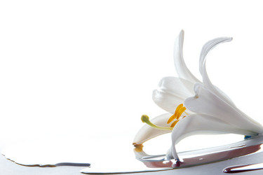 Similar image 312726