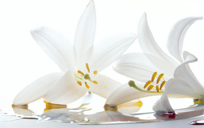 Similar image 312727