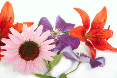 Similar image 312730