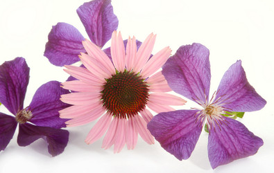 Similar image 312732