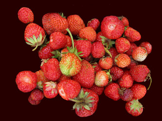 Similar image 312750