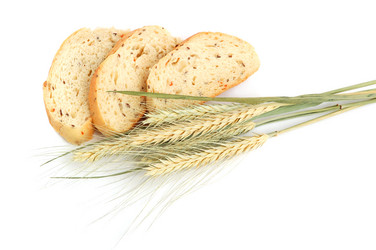 Similar image 312771