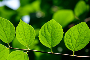 Similar image 312782