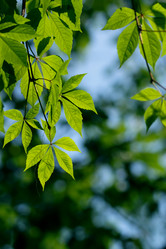 Similar image 312783