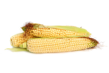 Similar image 312784