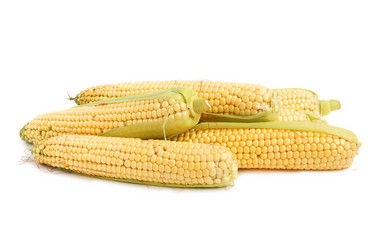 Similar image 312785