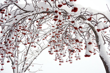 Similar image 312855