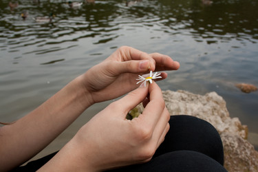 Similar image 312936