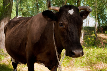 Similar image 312938