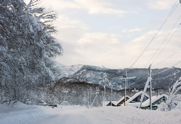 Similar image 312951