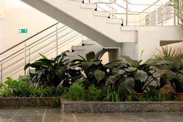 Similar image 312952