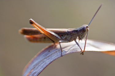 Similar image 312961