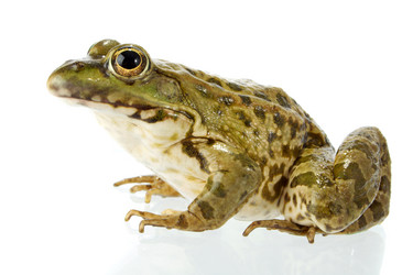 Similar image 312980