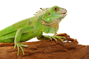 Similar image 312992