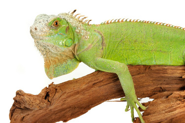 Similar image 313003