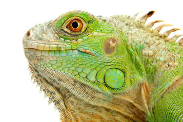 Similar image 313004