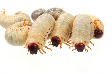 Similar image 313011