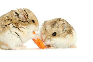 Similar image 313021