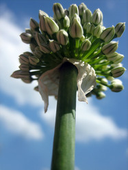 Similar image 313042