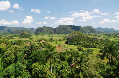 Similar image 313051