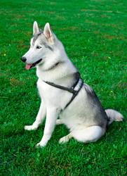 Similar image 313054