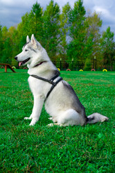 Similar image 313055