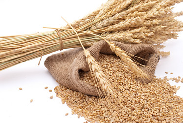 Similar image 313061