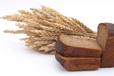 Similar image 313063